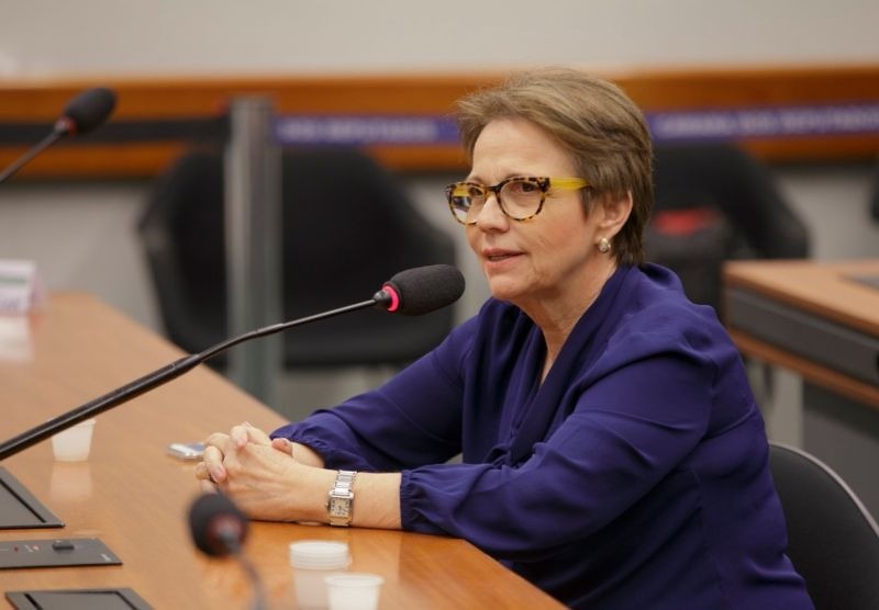 Deputada federal Tereza Cristina da (FPA) está à frente da comissão - Divulgação