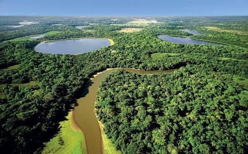 Mato Grosso do Sul foi criado há mais de 40 anos e apresentou um grande crescimento no setor econômico nos últimos 10 anos - Foto: Divulgação