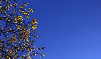 Neste sábado (10) a temperatura varia entre de 21°C a 35°C na Capital - Foto: portal do MS