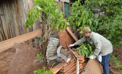 Município continua com alta incidência de dengue