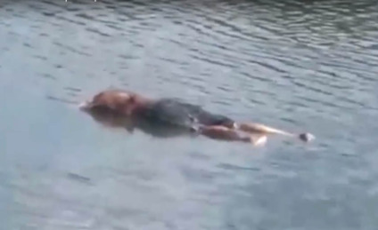 Cena do vídeo dos pescadores: A vítima ainda não foi identificada pela Polícia Civil - Arquivo Pessoal