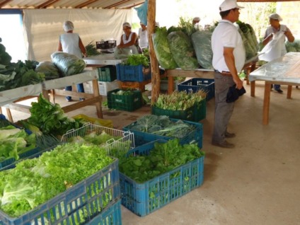 Um dos critérios para continuar nos lotes é produzir para venda ou para subsistência - Arquivo/JP