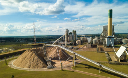 Aneel pagará R$ 251 por megawatt produzido em usinas movidas por biomassa - Divulgação/Assessoria