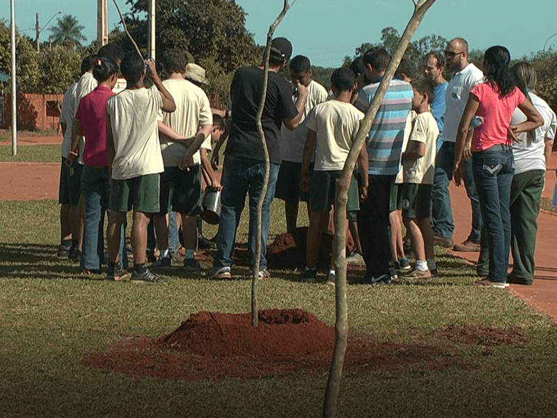 Crianças realizaram o plantio na manhã desta terça-feirea - Reprodução/TVC