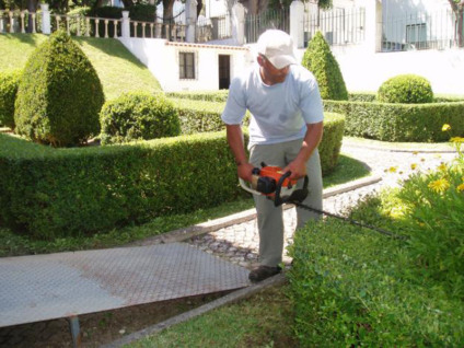 Além da vaga para jardineiro, há para camareira, auxiliar de cozinha, repositor e outras - Ilustração