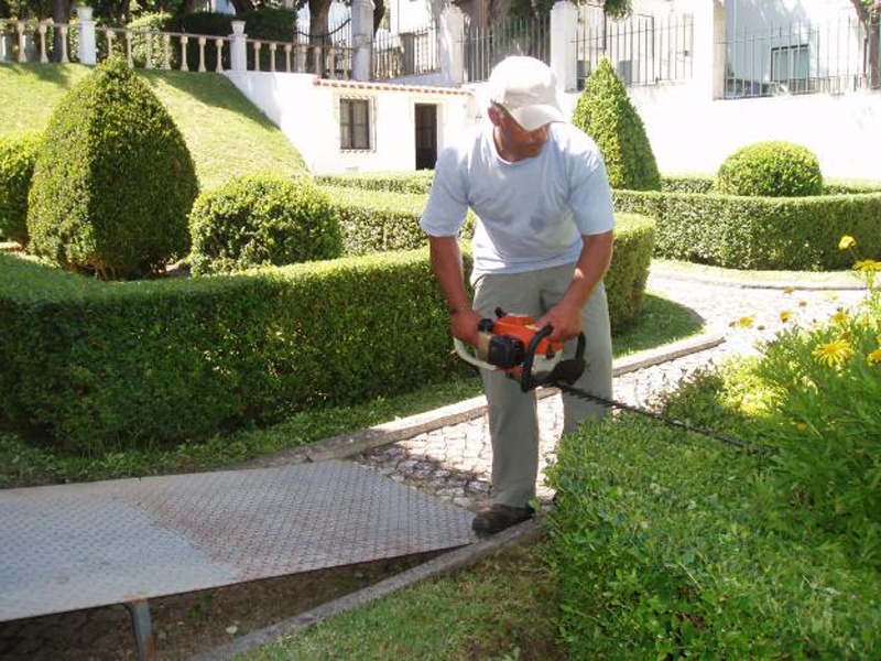Além da vaga para jardineiro, há para camareira, auxiliar de cozinha, repositor e outras - Ilustração