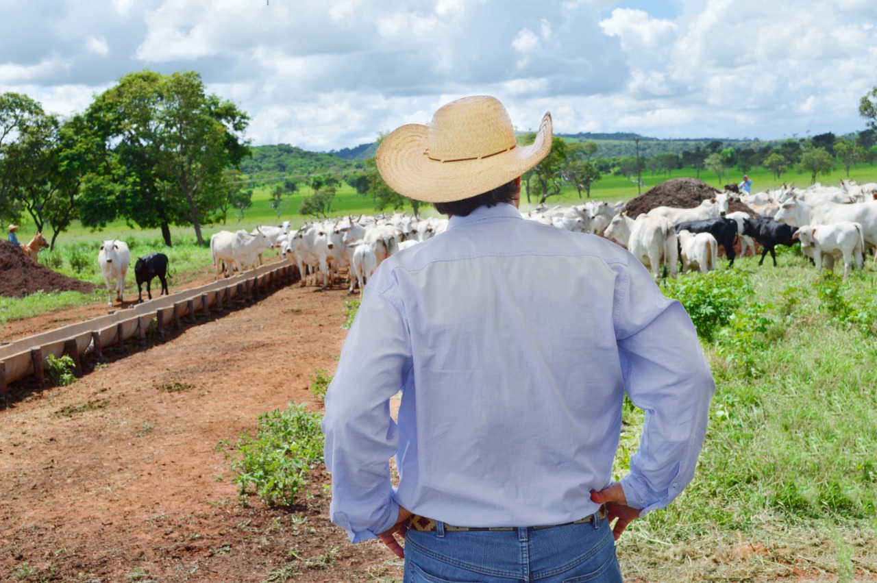  - Foto: João Carlos Castro/Famasul