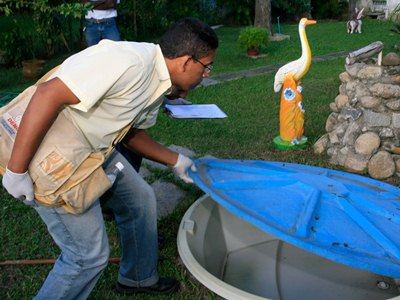 Município está livre da epidemia, mas constata alto índice de infestação -