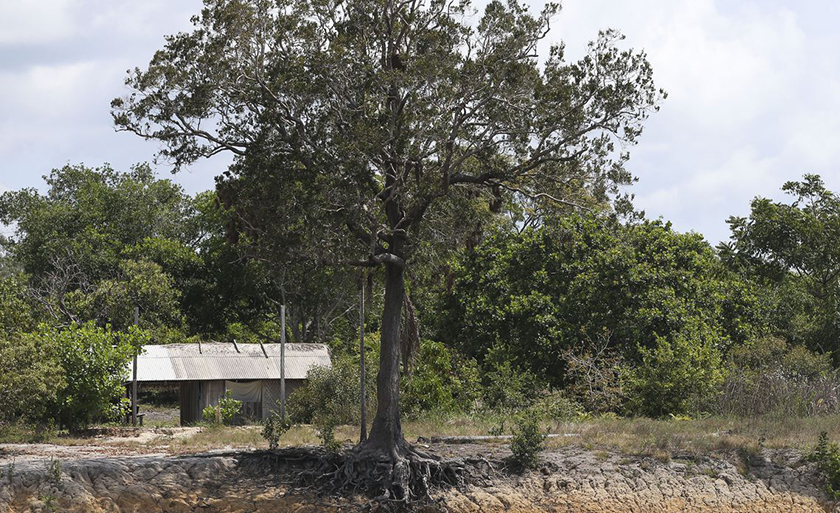 Relatório também indica que não é tarde para tomar atitudes que façam a diferença para a preservação ambiental - Arquivo/Agência Brasil