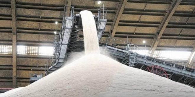 Estado é o sexto maior exportador do Brasil - Foto: Reprodução/Semagro