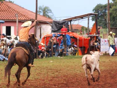 Os laçadores disputam a final nas modalidades individual (normal e dupla), mirim e bandeira - Os laçadores disputam a final nas modalidades individual (normal e dupla), mirim e bandeira -