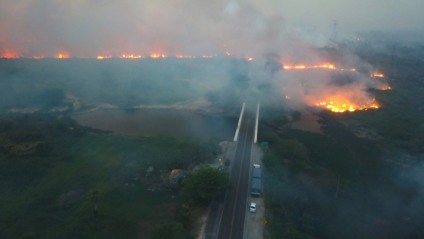 Incêndio no Pantanal já dura uma semana e força tarefa luta contra o fogo - Chico Ribeiro/ Governadoria