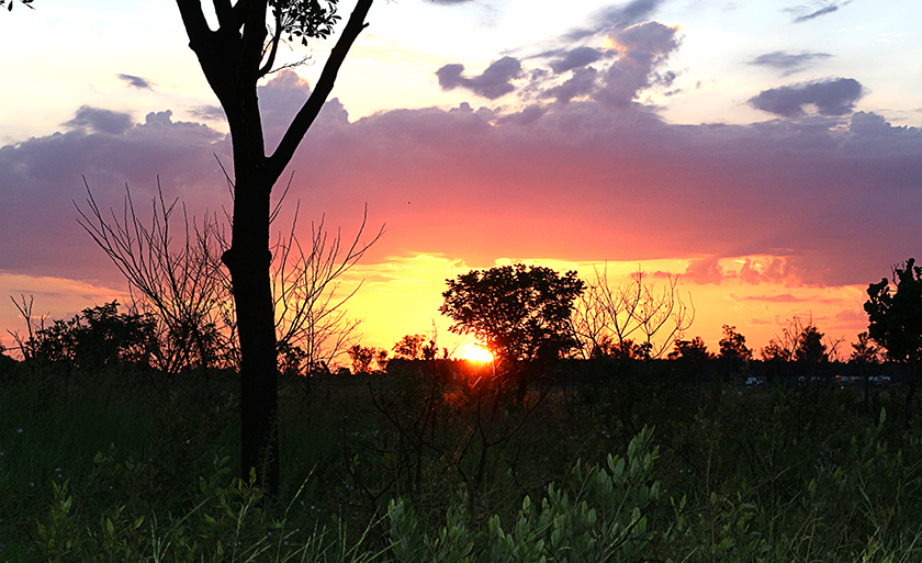 Amanhecer de uma beleza excepcional em Três Lagoas - Danielle Leduc