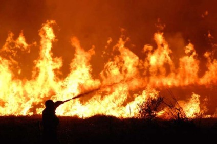 Na fronteira pelo menos 21 mil hectares já foram destruídos - Foto: Eliel de Oliveira
