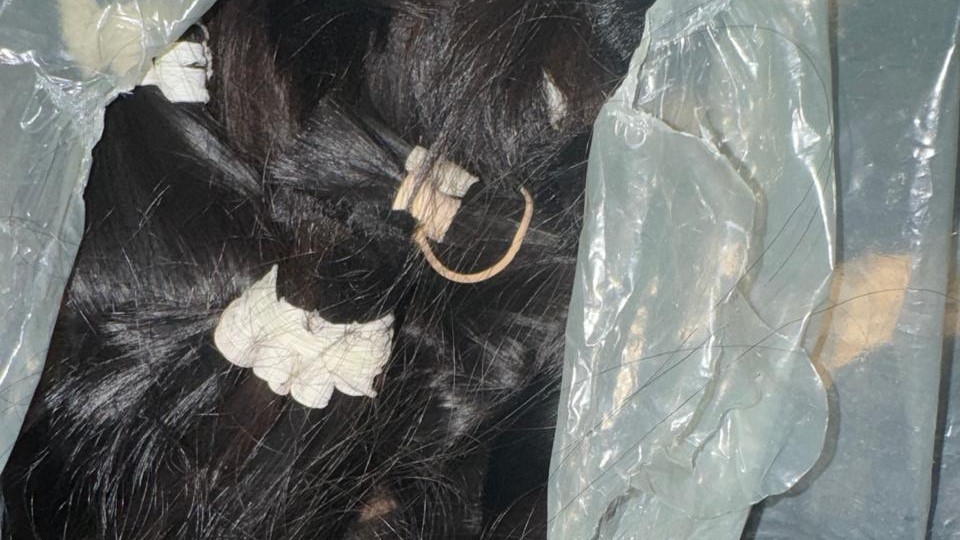 Ao todo foram encontrados 20 quilos de cabelo humano