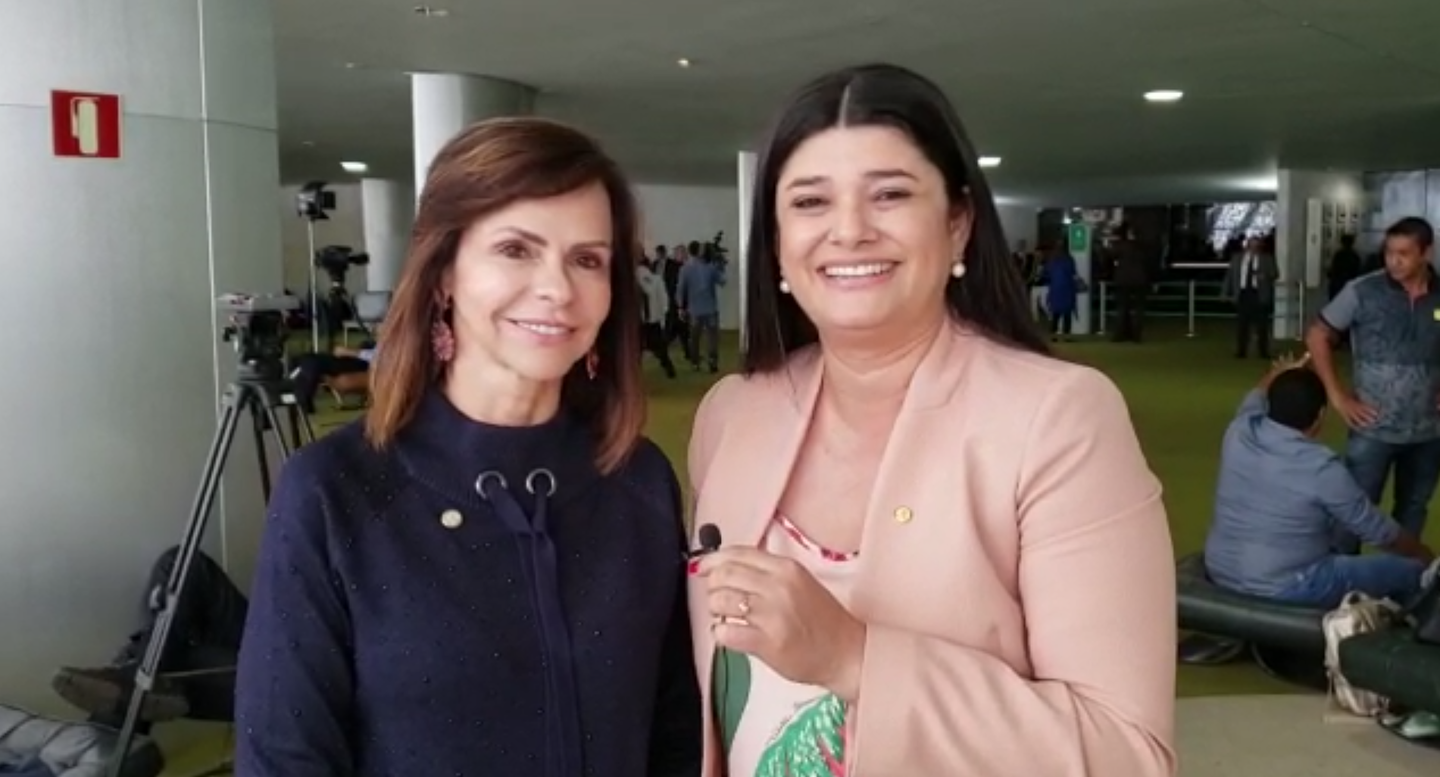 A relatora da Proposta de Emenda à Constituição que torna o Fundeb permanente (PEC 15/15), deputada Professora Dorinha Seabra Rezende (DEM-TO) estará presente no seminário. - Foto: Reprodução/Youtube