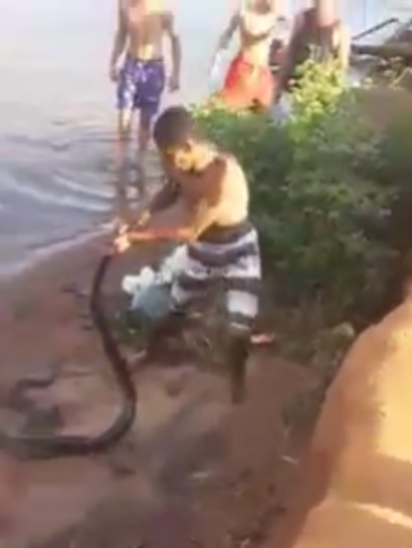 Vídeo de homem arrastando sucuri na cascalheira em Três Lagoas viraliza e causa revilta - Divulgação