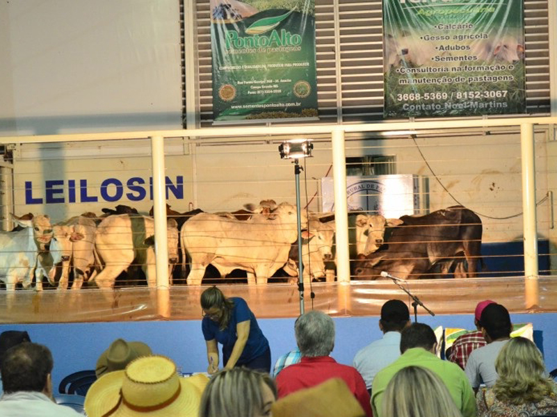 Foram vendidos animais de diversas raças como Brahmam Arrojo, Nelore e Cruzamento Industrial e outras - ParadaDez