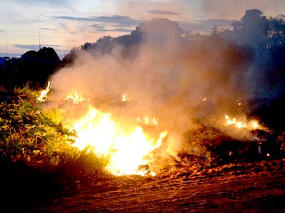 Foram atendidas 35 ocorrências de incêndio em pastagens -