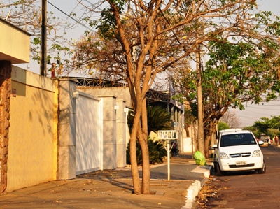 A estação também é marcada pela queda de folhas -