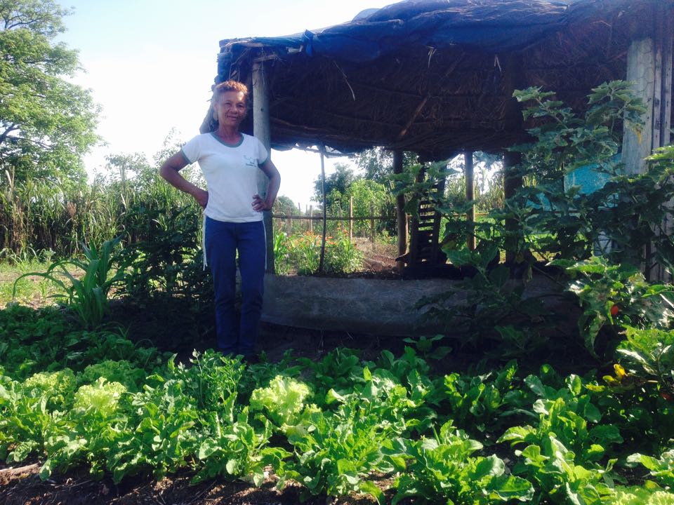 Dona Maria da Cruz é uma das que usufruem da área e vendem a produção para a merenda escolar - Ana Cristina/JP