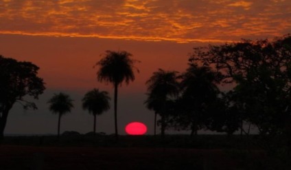 Temperaturas batem recorde em Mato Grosso do Sul - Foto: Monia Alves/Portal MS