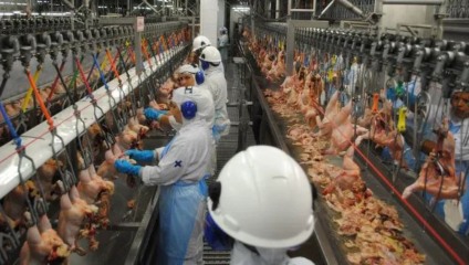 Cerca de 25% da produção do frigorífico é destinada ao país asiático - Reprodução