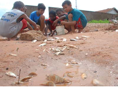 Crianças levaram boa quantidade de peixes para casa -