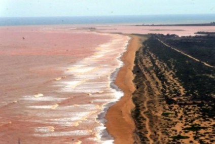 Lama de barragem que se rompeu em Minas avança sobre o mar no Espírito Santo - Paulo de Araújo/Ministério do Meio Ambiente