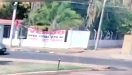 O crime de vandalismo foi registrado na 1ª Delegacia de Polícia Civil. - Reprodução/TVC O crime de vandalismo foi registrado na 1ª Delegacia de Polícia Civil. - Reprodução/TVC