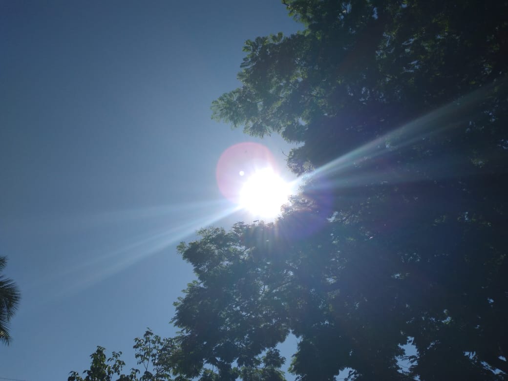 A previsão é do centro de Monitoramento do Tempo e do Clima que reforça que dezembro é um dos meses mais chuvosos no Mato Grosso do Sul - Talita Matsushita