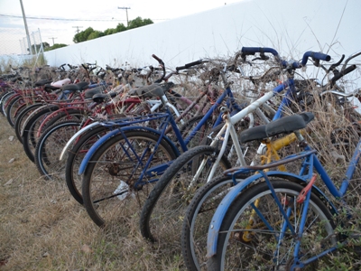 Nos últimos seis meses, mais de 100 bicicletas foram recuperadas -