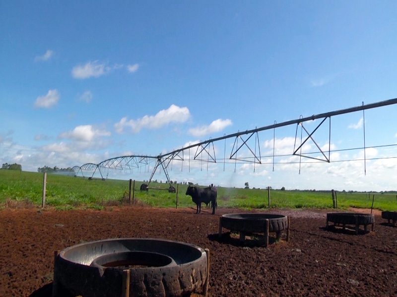 O agrônomo utiliza em sua propriedade um sistema de pivô central para a irrigação - Repordução