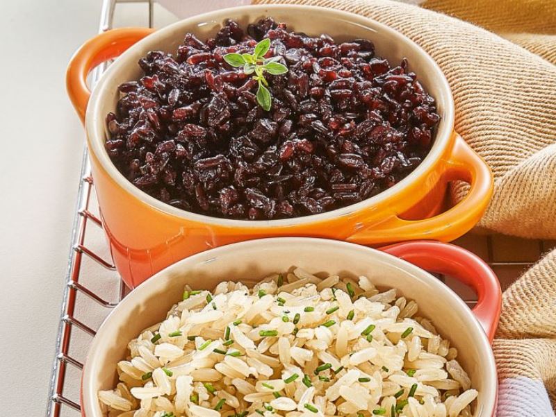 - Divulgação - Divulgação