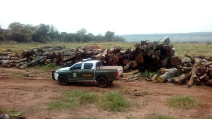 Foram identificados 1.015,63 hectares de área desmatada ilegalmente - Divulgação