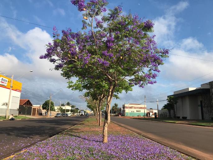 Segunda-feira começou colorida e o novo mês também. Outubro seja bem-vindo! - Kelly Martins/JPNEWS