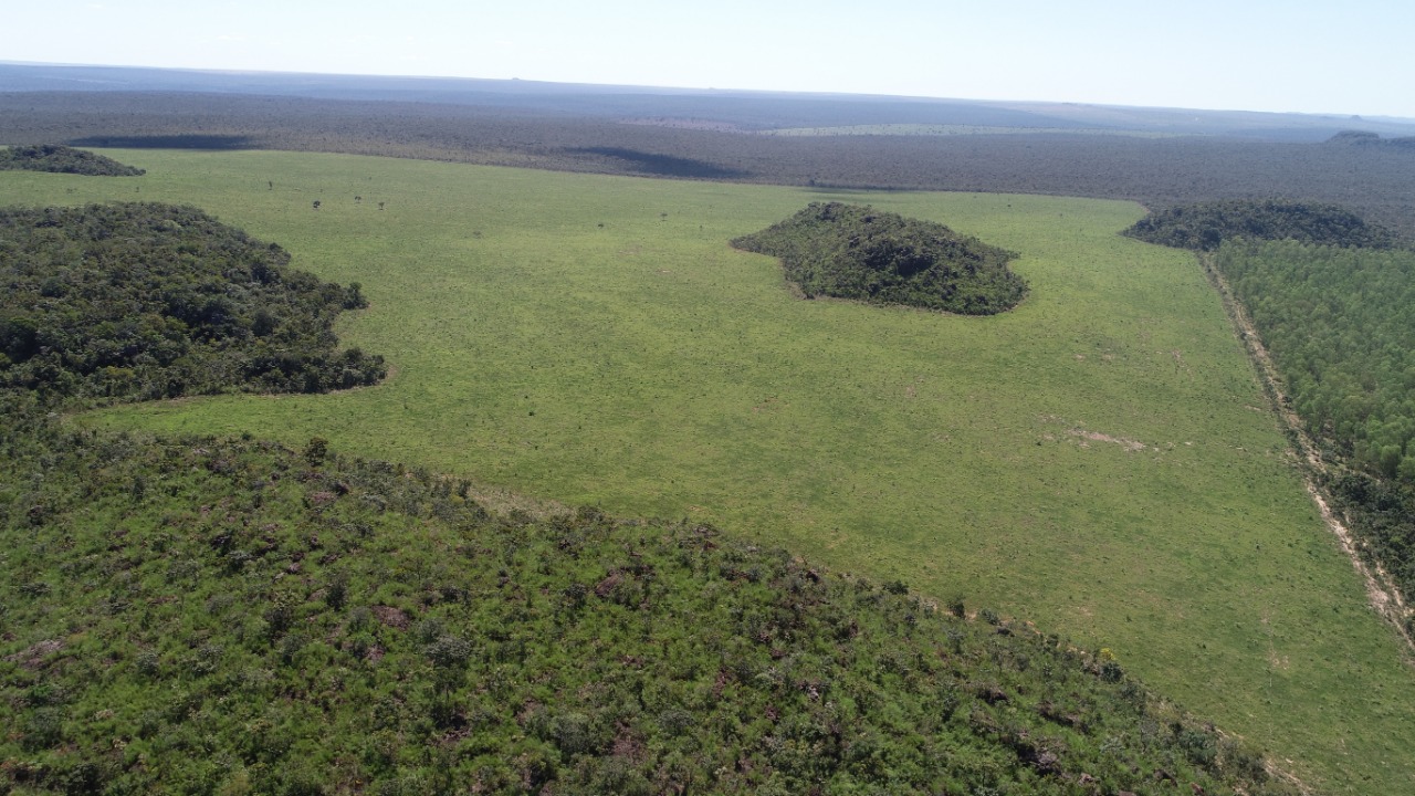 Foi constatado 365 hectares de vegetação nativa, exploração e queima ilegal de madeira - Divulgação/PMA