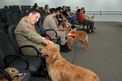 Animais de terapia foram na audiência pública na Câmara Municipal e lei agora pode estender benefício para todo o Estado - Izaías Medeiras/Câmara Municipal Animais de terapia foram na audiência pública na Câmara Municipal e lei agora pode estender benefício para todo o Estado - Izaías Medeiras/Câmara Municipal
