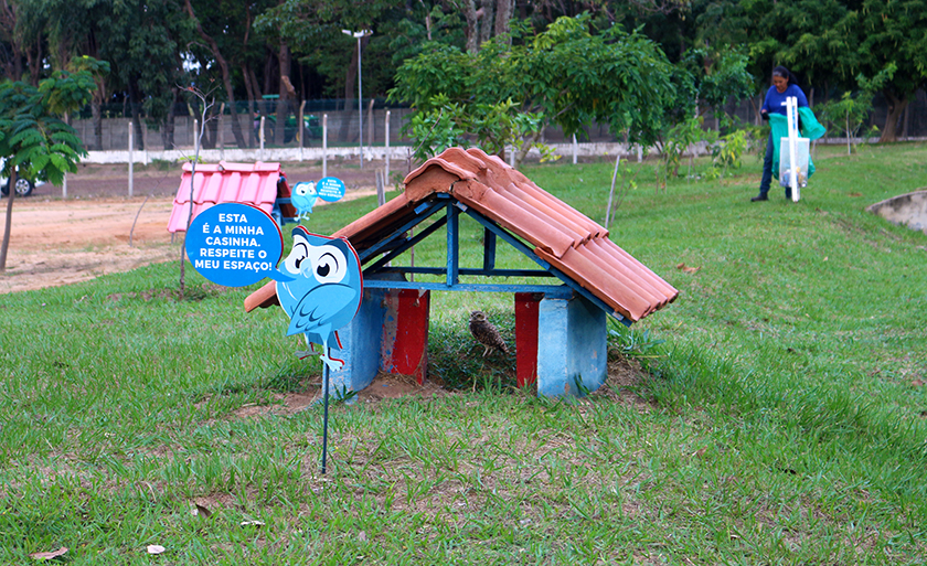 Quem visita o Balneário Municipal de Três Lagoas pode ter o privilégio da presença das corujas. Elas ganharam casinhas para a proteção dos ninhos - Danielle Leduc