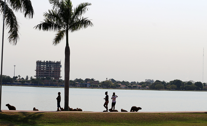 Foto registrada na Lagoa Maior, em Três Lagoas - Danielle Leduc