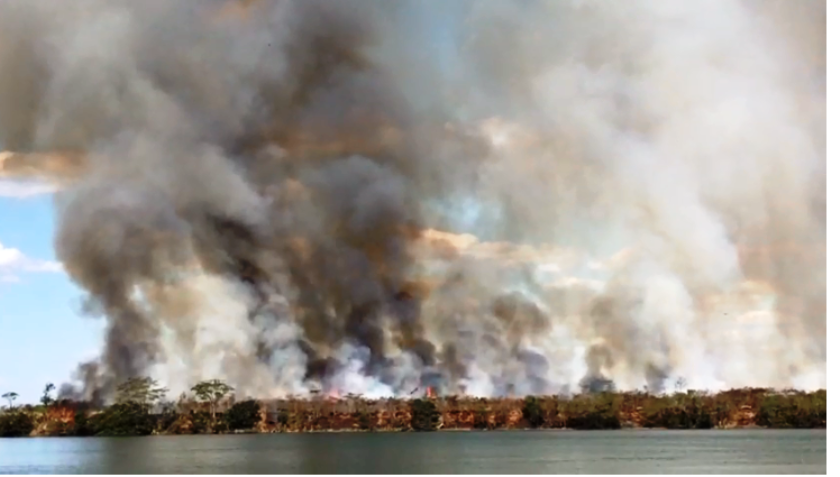 Local de difícil acesso dificulta trabalho de combate ao incêndio - Reprodução