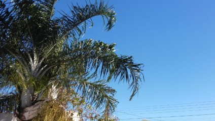 Em Paranaíba a previsão para a quarta-feira é de sol com algumas nuvens - Talita Matsushita/JPNEWS