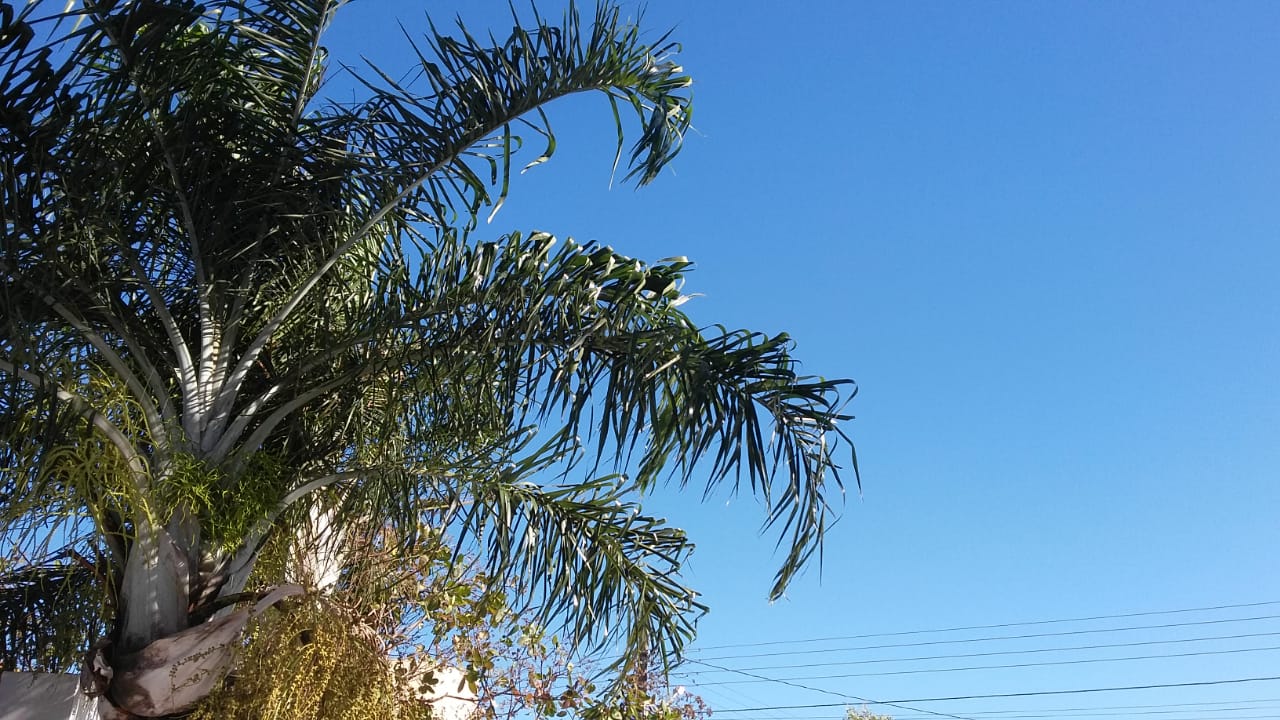 Em Paranaíba a previsão para a quarta-feira é de sol com algumas nuvens - Talita Matsushita/JPNEWS