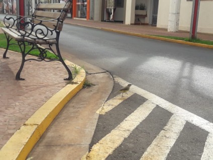 A temperatura varia entre 22 e 33°. Umidade relativa do ar fica entre 42 e 83 % - Talita Matsushita/JPNEWS
