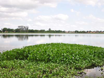 Segunda lagoa pode ser transformada em unidade de conservação de monumento natural -