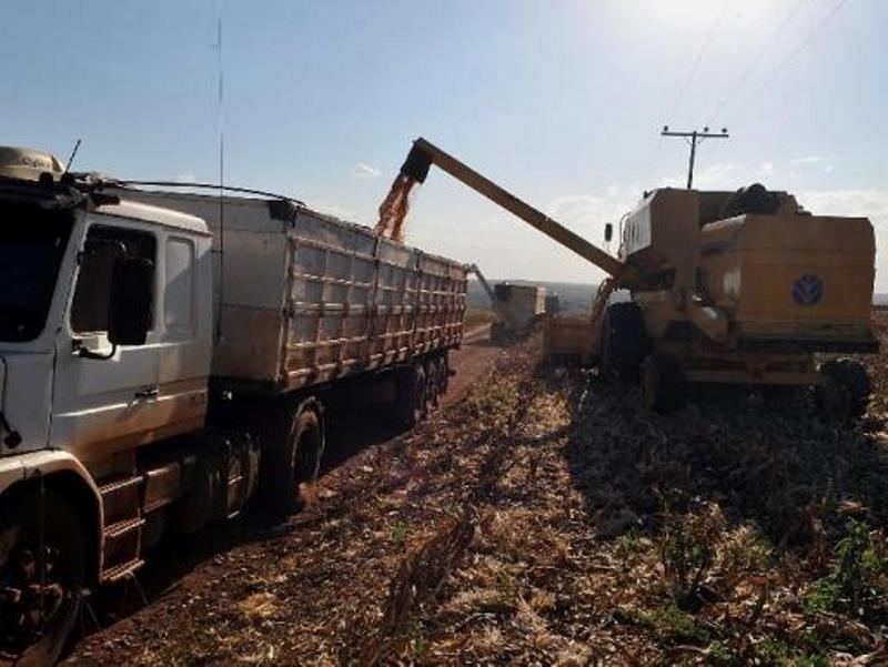 A soja foi uma das cinco cadeias produtivas responsáveis por 84% do total exportado pelo agronegócio em julho - Agência Brasil