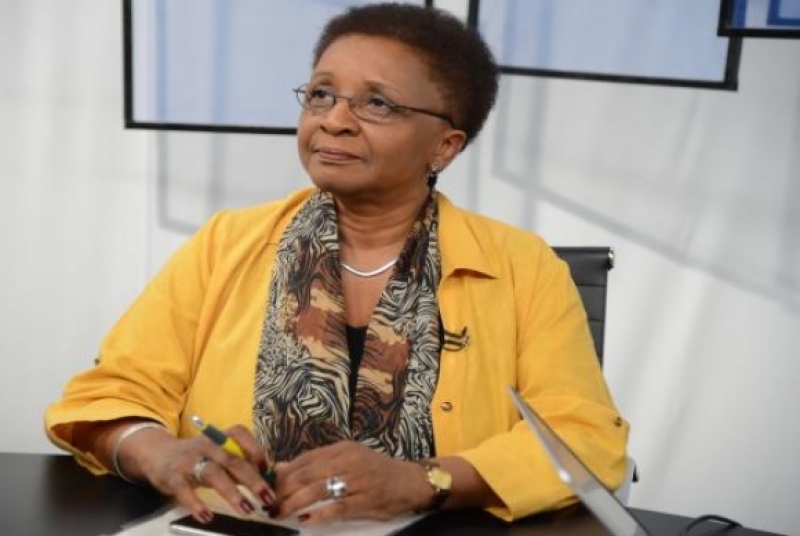Luiza Helena Bairros, ex-ministra da Secretaria de Políticas Públicas da Igualdade Racial e criadora do Sinapir - Agência Brasil Luiza Helena Bairros, ex-ministra da Secretaria de Políticas Públicas da Igualdade Racial e criadora do Sinapir - Agência Brasil