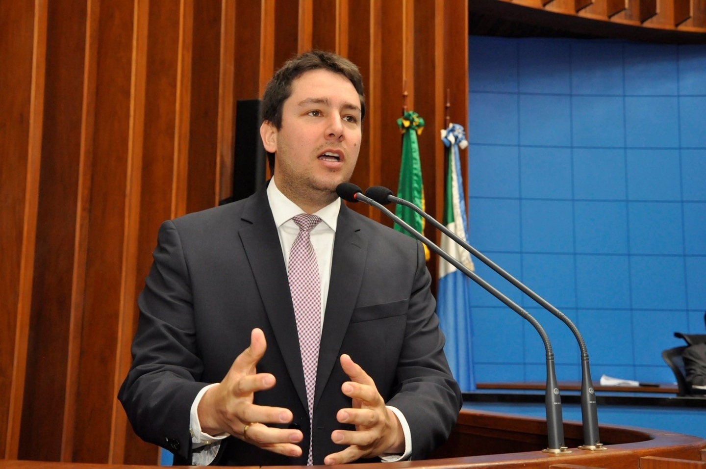 O deputado estadual João Henrique Catan (PL) promoverá audiência pública na próxima terça-feira (9) - Divulgação