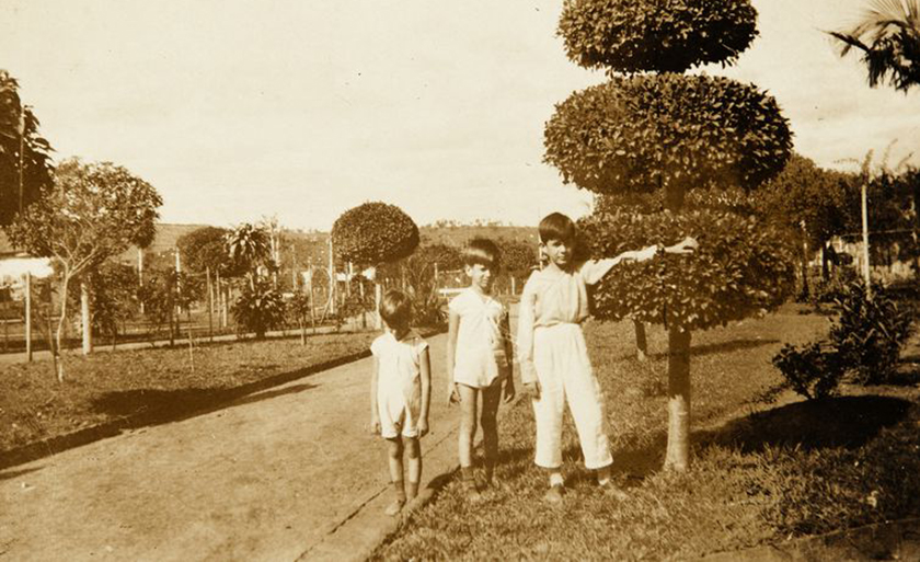 Exposição traz fotos da infância de Antonio Candido - Acervo Instituto de Estudos Brasileiros