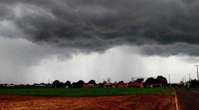 Este ano, a média da temperatura ficou cerca de sete graus acima em Mato Grosso do Sul